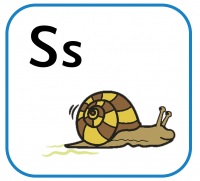 s for snail cartoon